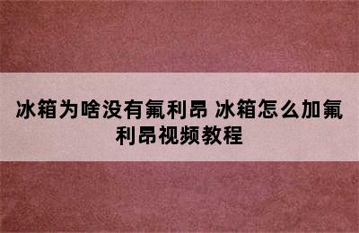 冰箱为啥没有氟利昂 冰箱怎么加氟利昂视频教程